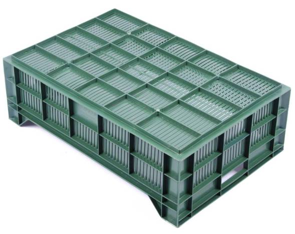Ящик 600х400х200 плодово-овощной перфорированный